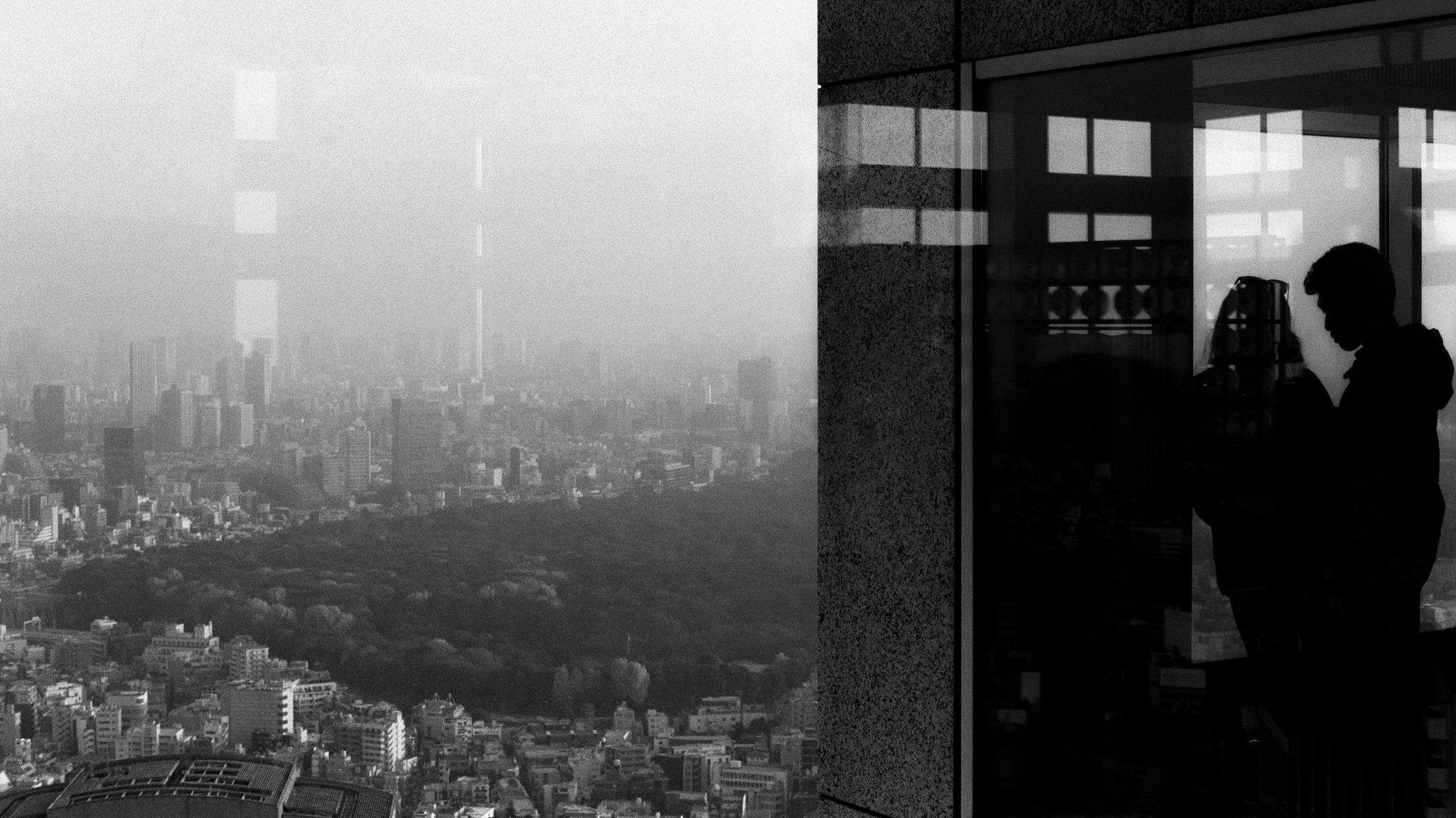 View over Meiji Jingū