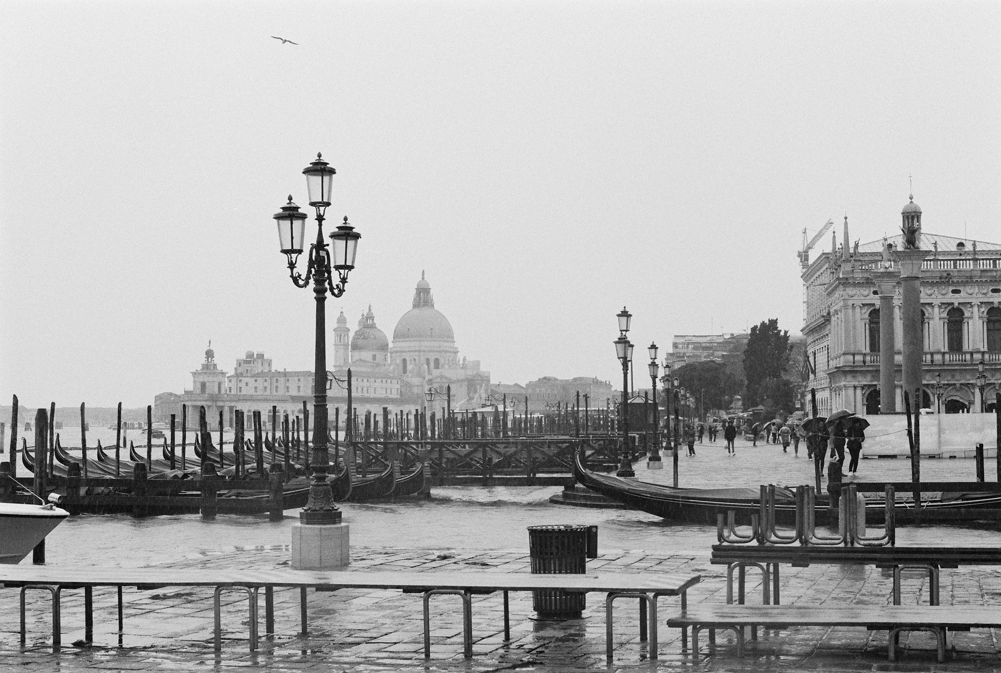 View on Basilica della Salute