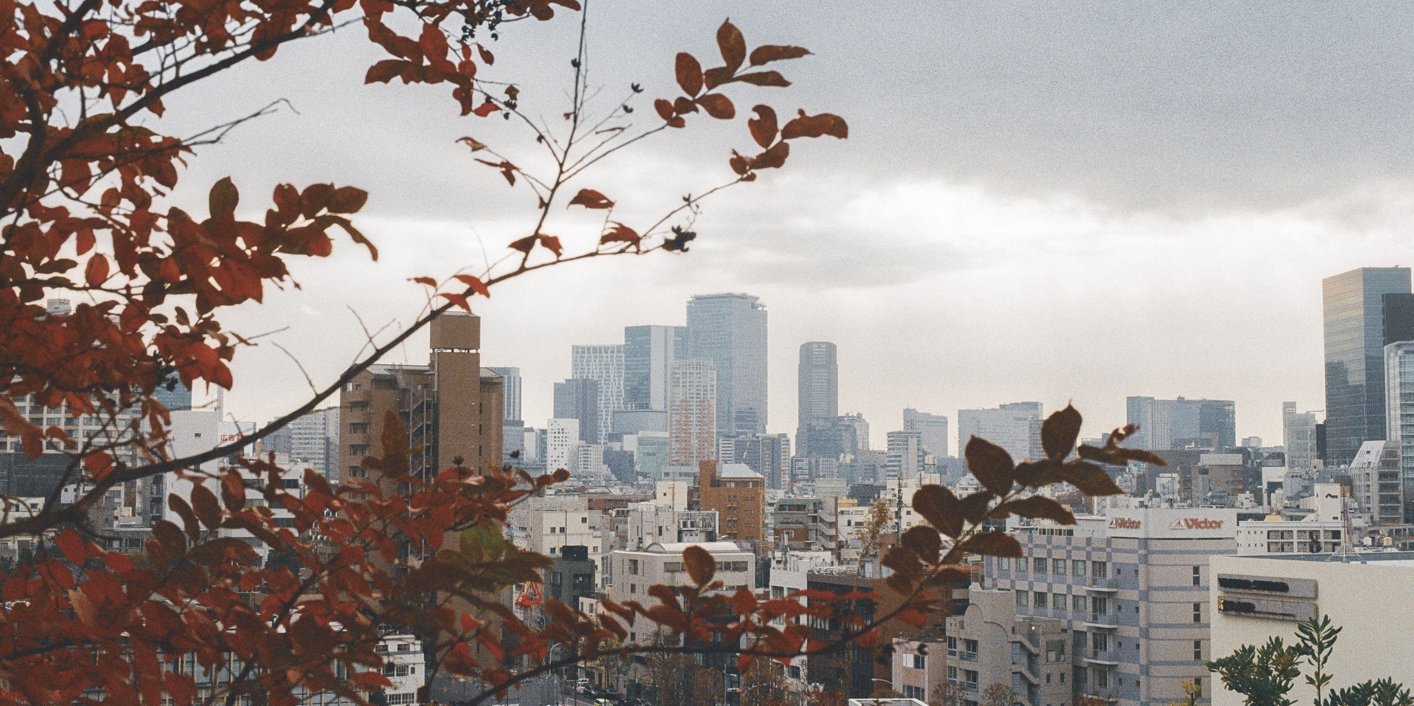 View on Shinjuku