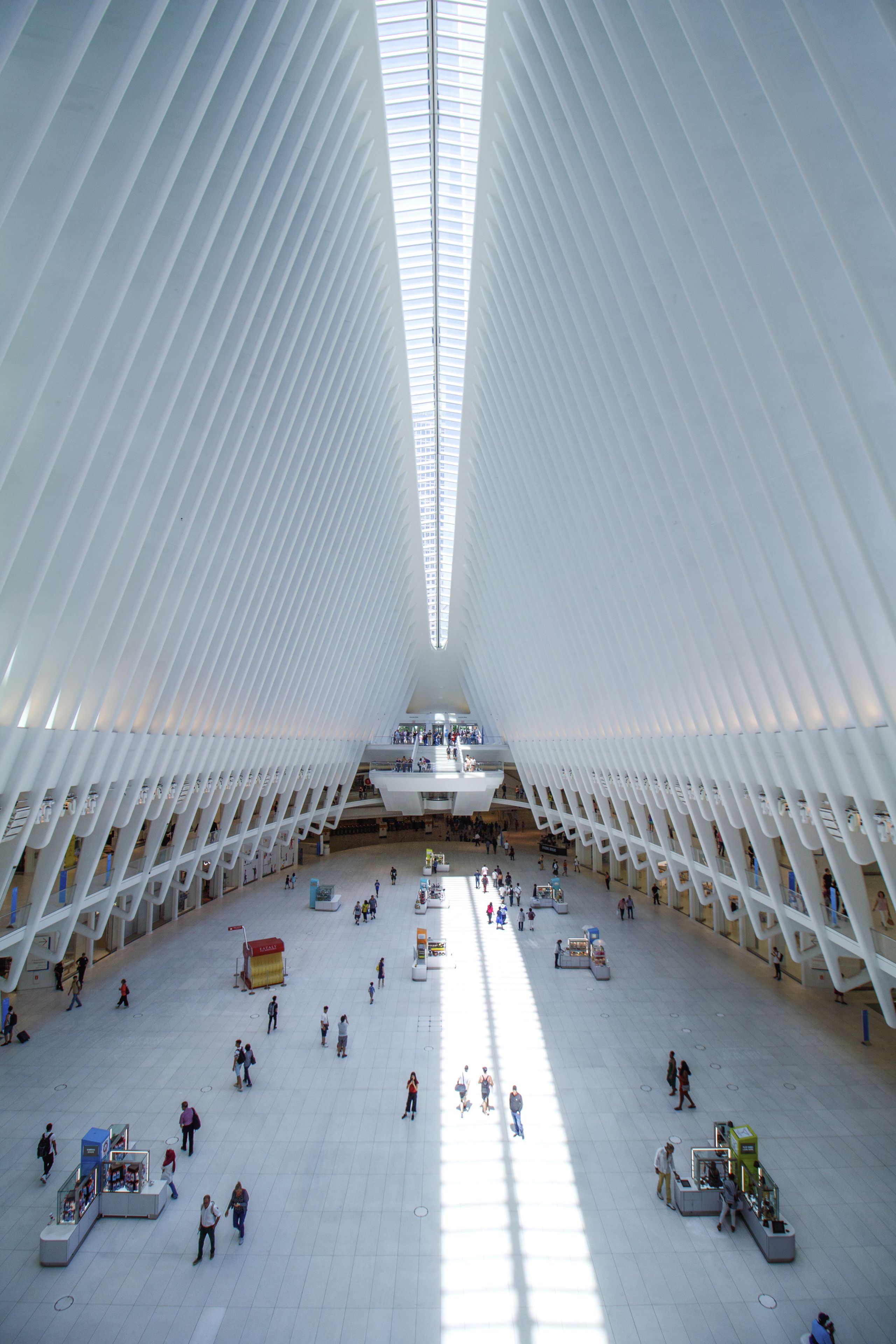 The Oculus