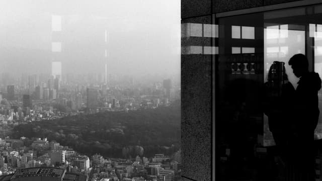View over Meiji Jingū