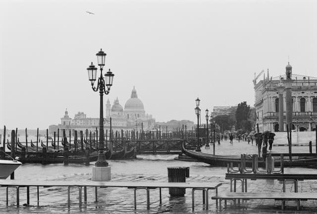 View on Basilica della Salute