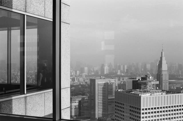 Southeast View: Metropolitan Government Building No. 1