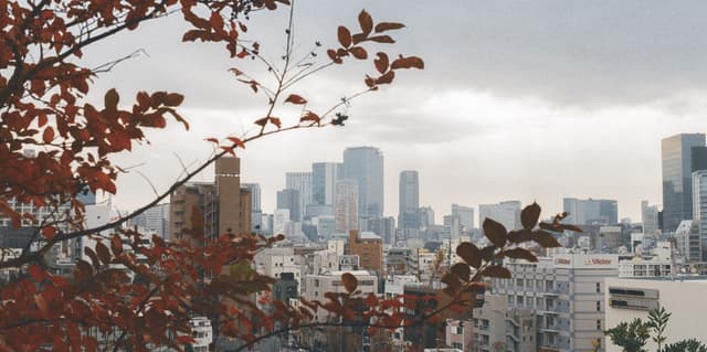 View on Shinjuku